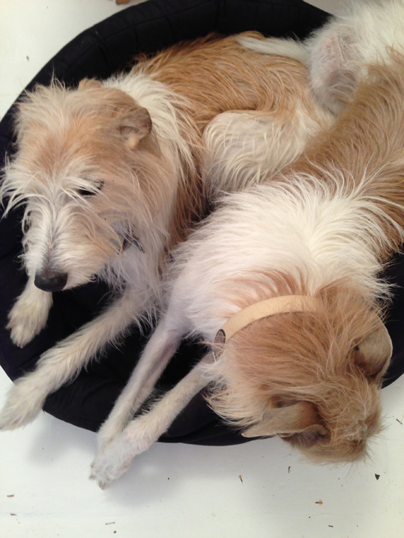 Lily and Finn