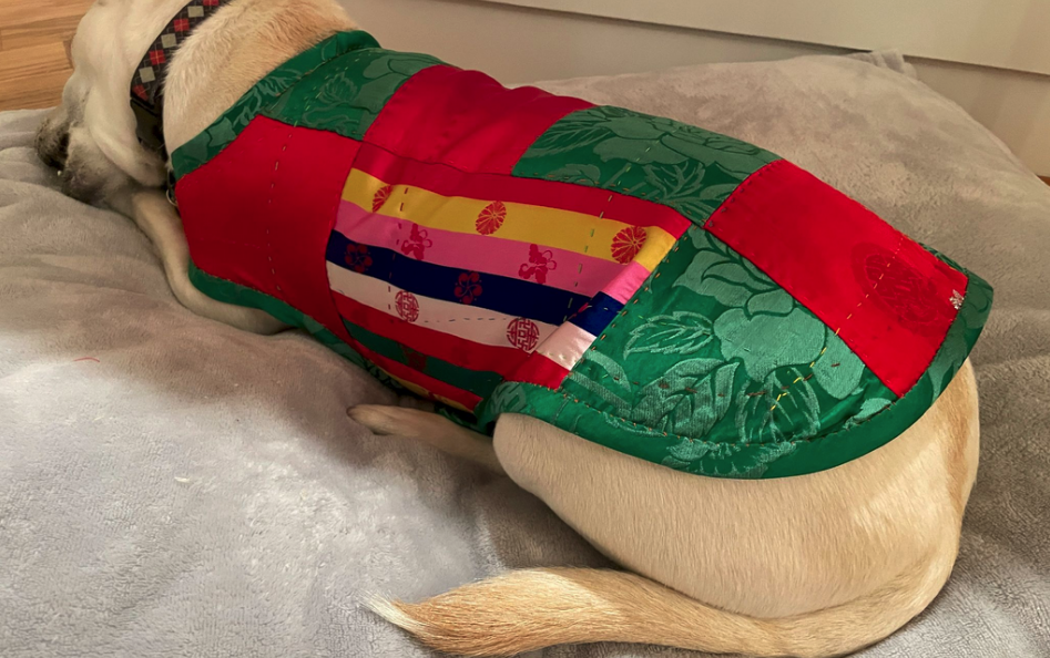 vest made with the korean silk for Vivian’s dog, Belle in December 2023