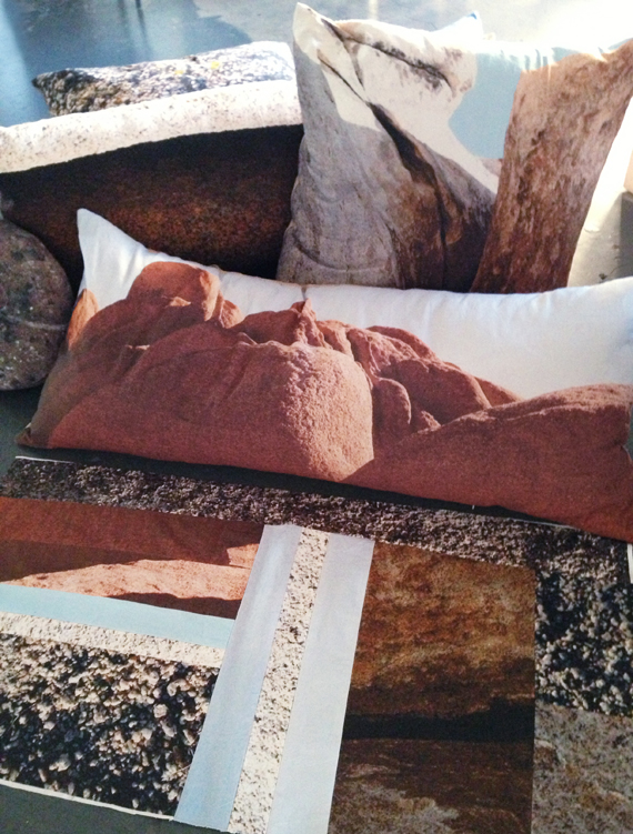 pillows printed with the desert landscape