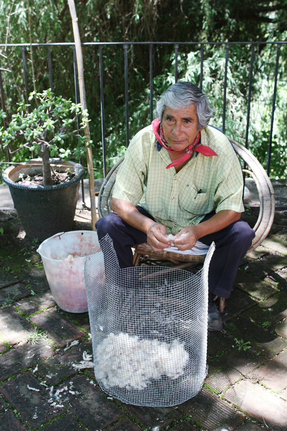 separating seeds from fiber