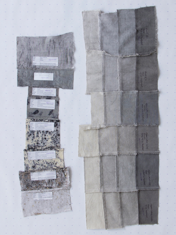 color studies of canvas dyed with pomegranate husk and tea