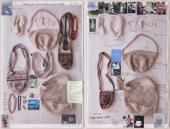 documentation of specimens and techniques from first research trip