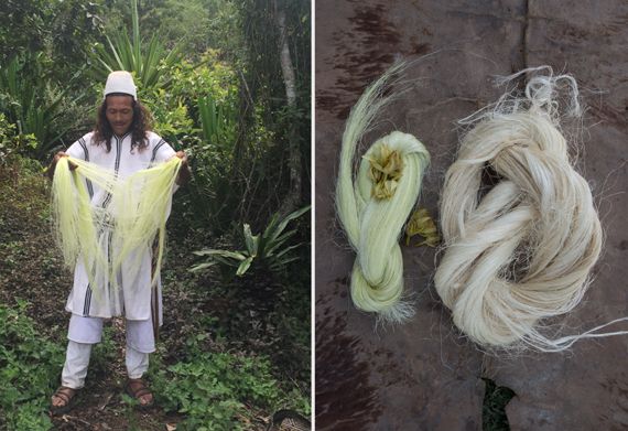 fique before and after washing and drying in the sun