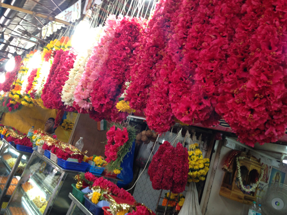 red hibiscus, a favorite of Ganesha, the Elephant God