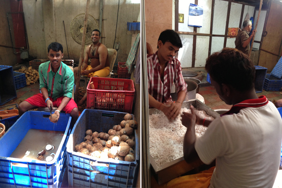 coconut blessed by Hindu priests are used to make prasad, a food offering given to devotees