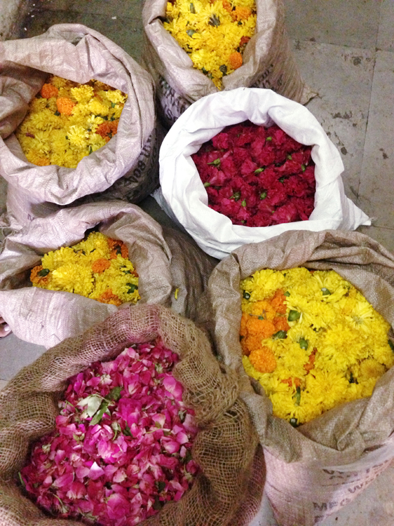 sorted sacks of hibiscus, marigold, and rose