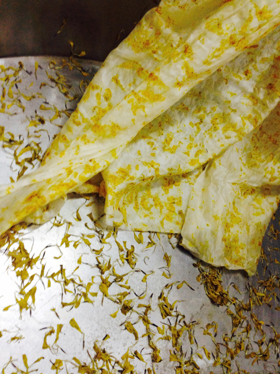petals are collected for compost