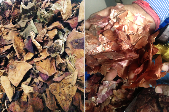 dried rose petals; onion skins