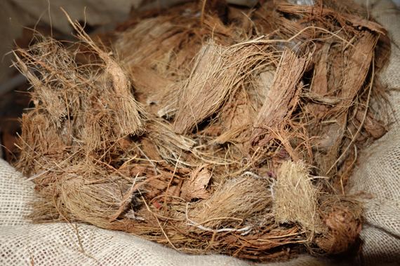 coconut husks
