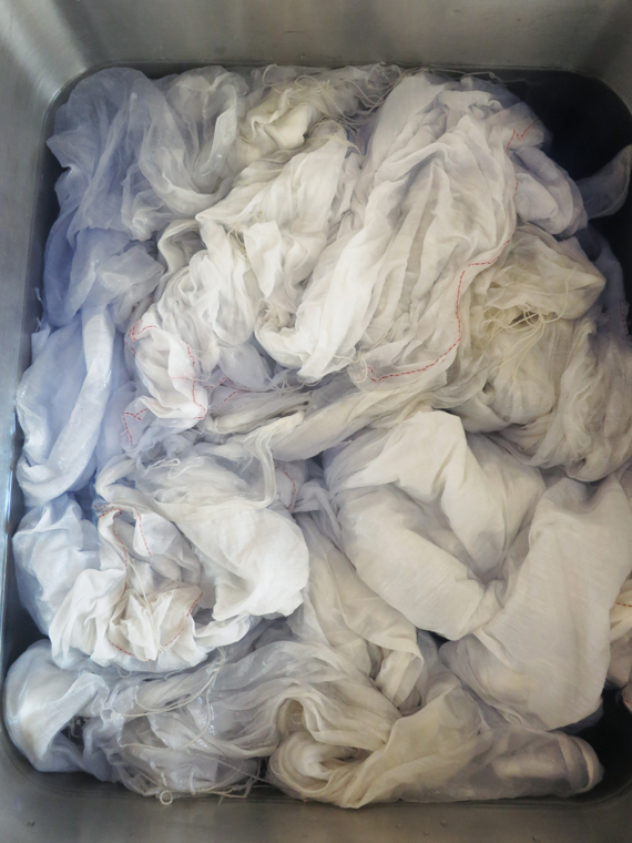 dyeing with neel